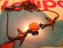 Like a bird_2